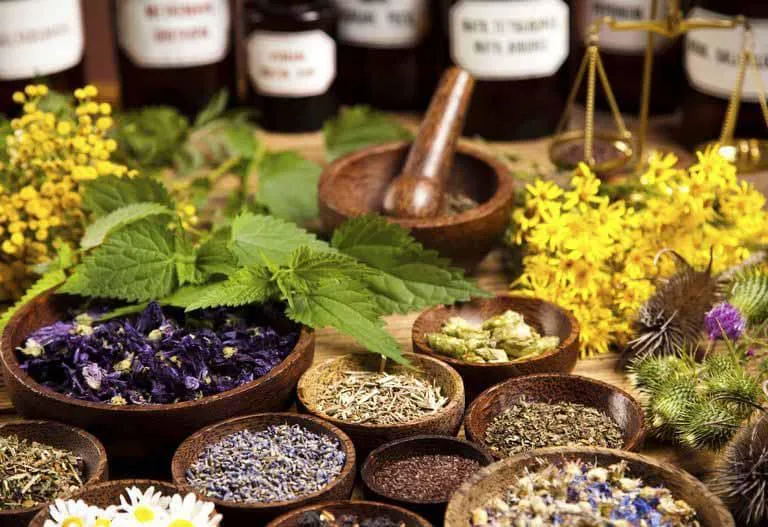 سوالات کاربر گیاهان دارویی فنی حرفه ای